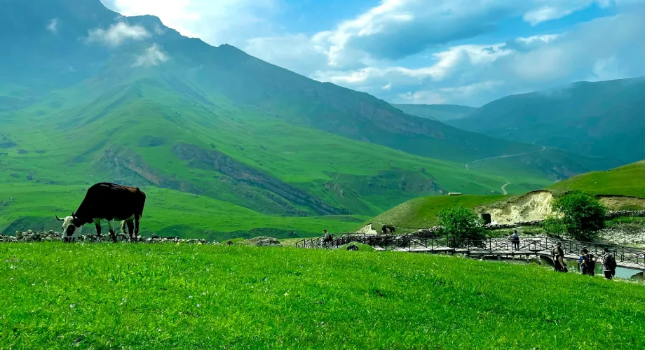 Azerbaijan greenary