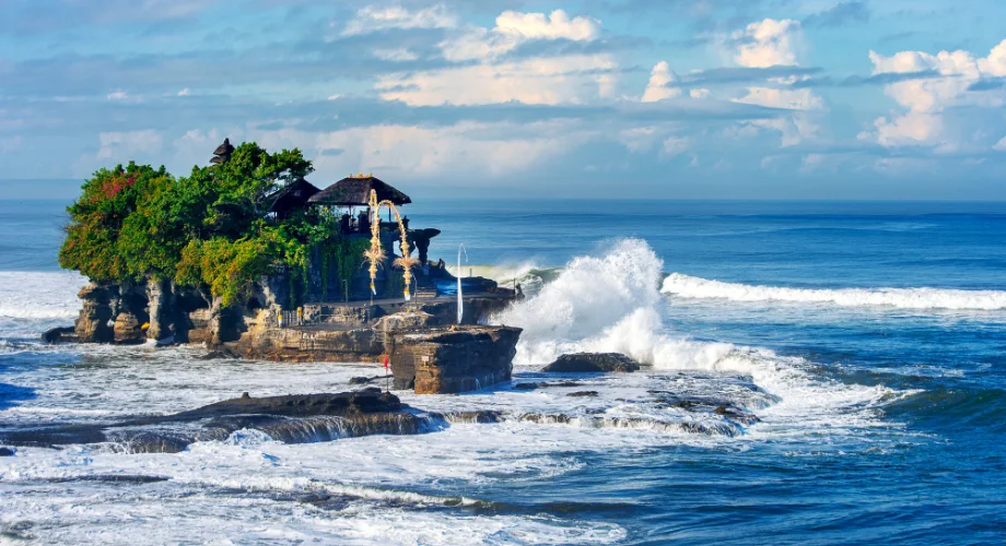 Bali rice terraces landscape