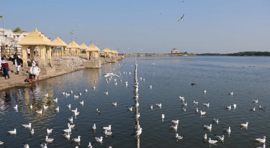 gujarat-4