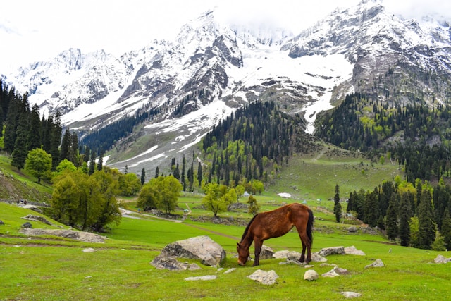 kashmir sites
