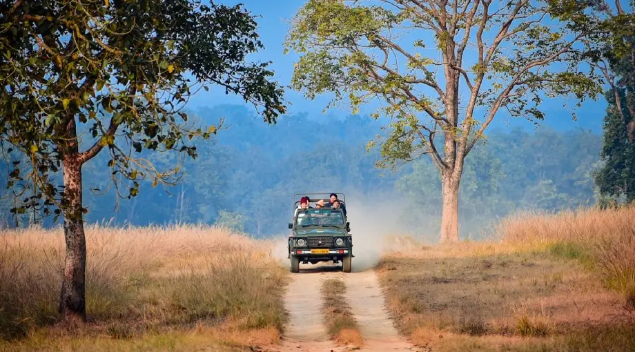 safari tour