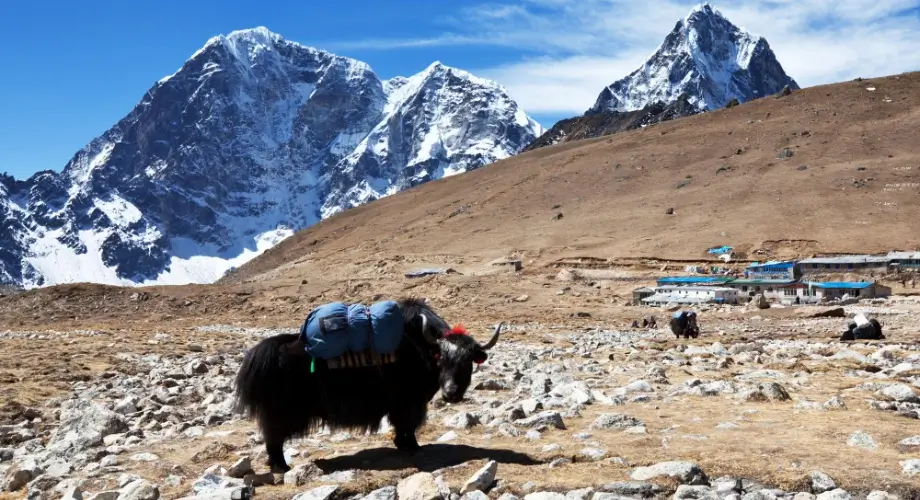 Nepal Himalayas mountain landscape