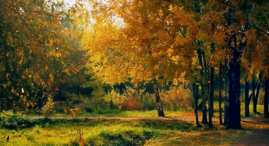 Russian greenary