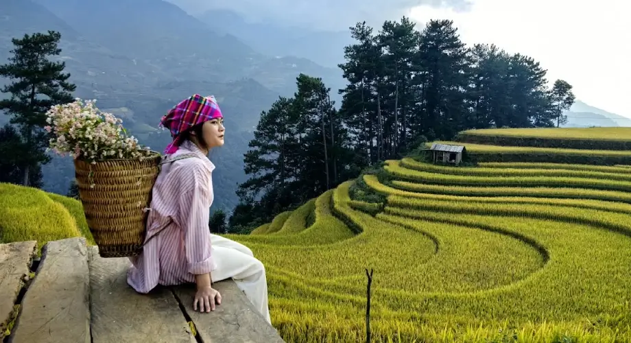 Vietnam mountains and landscapes